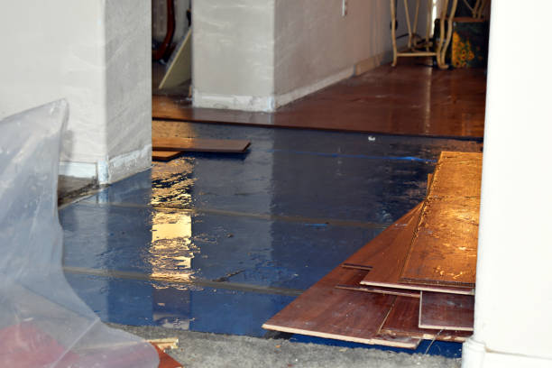 Professional Basement Flooding technician working in Malaga, NJ